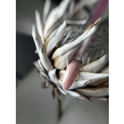 Гель-лак TIES Cosy 72, 10 мл